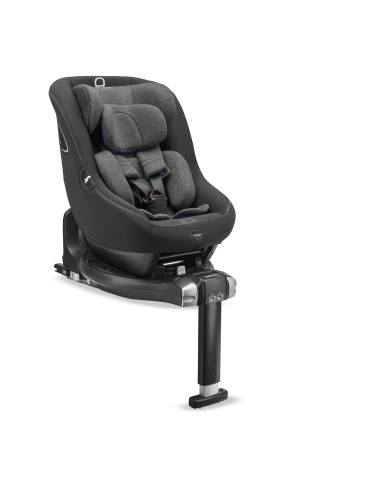 Inglesina - Darwin Next Stage