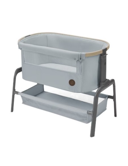 Iora Grey