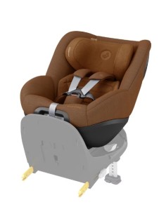 Pearl Pro 360 Cognac