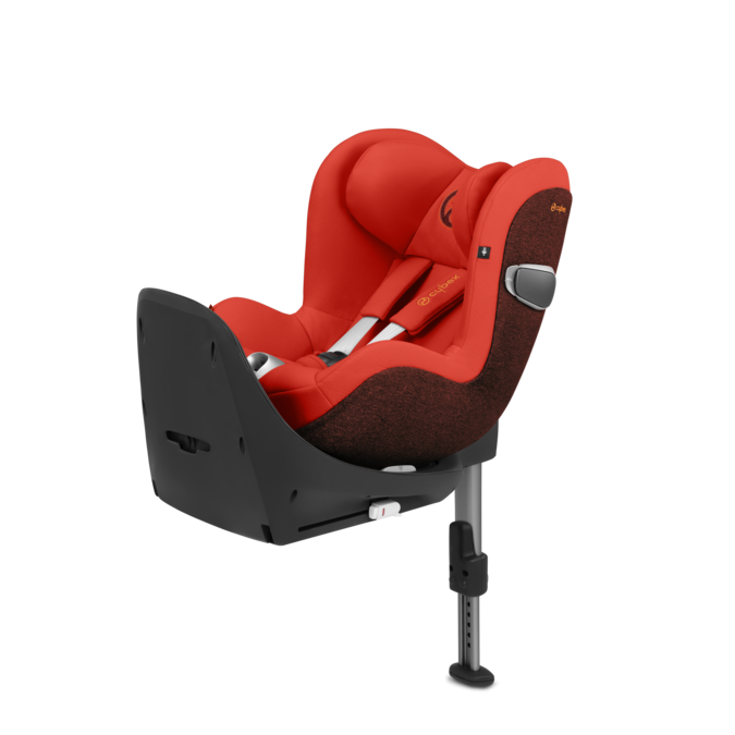 Sirona Z Autumn Gold